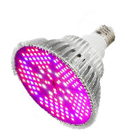 لامپ رشد گیاه